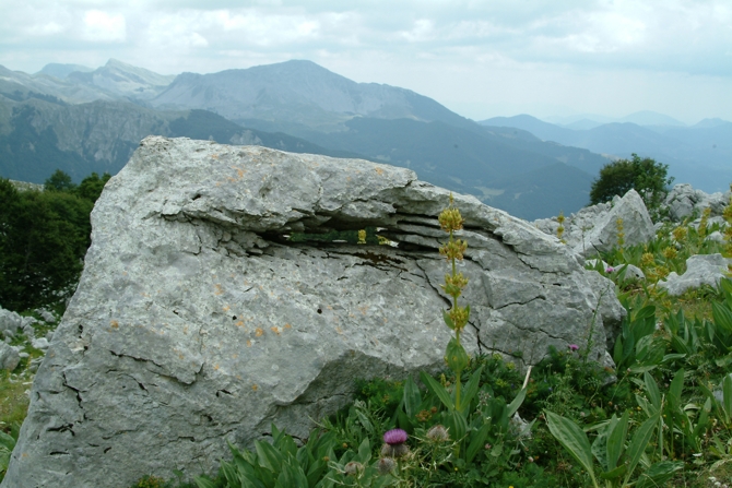 Sculture naturali